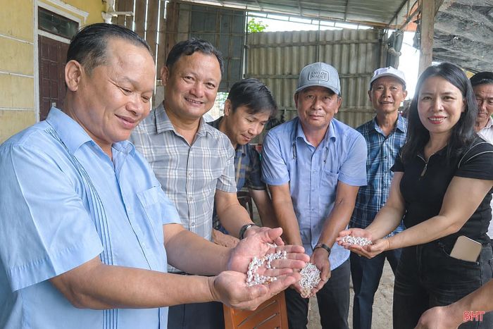 Sau khi tách khỏi trai, ngọc được chuyển về Công ty TNHH Một thành viên Ngọc trai Ngọc Hiền Phú Quốc để làm sạch, phân loại theo kích thước, hình dáng, độ bóng và màu sắc, trước khi chế tác thành trang sức, quà tặng.