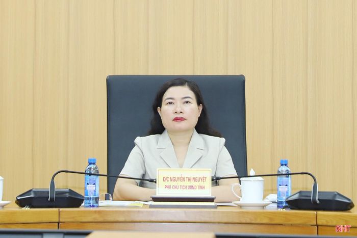 Phó Chủ tịch UBND tỉnh Nguyễn Thị Nguyệt điều hành điểm cầu Hà Tĩnh.