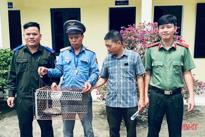 Anh Trần Trọng Kiên cùng cán bộ Công an xã Thượng Đức bàn giao cá thể rùa đầu to cho cán bộ Vườn Quốc gia Vũ Quang.