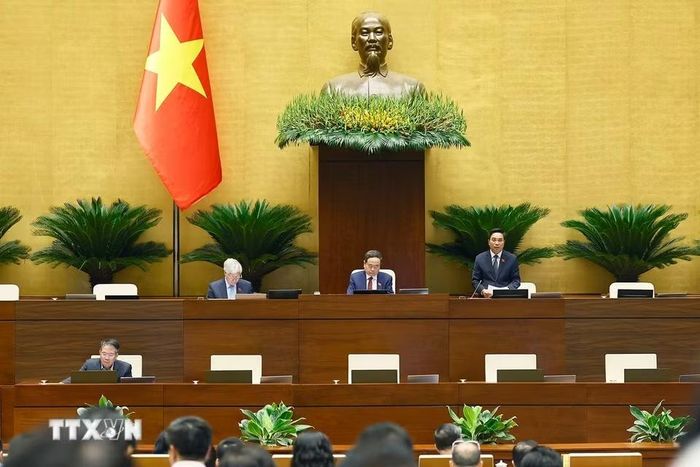 Phó Chủ tịch Quốc hội Nguyễn Doãn Anh điều hành phiên họp. (Ảnh: Doãn Tấn/TTXVN)