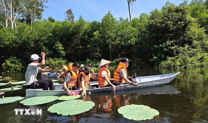 Du khách khám phá rừng ngập nước Bầu Đá. (Ảnh: Tường Quân/TTXVN)