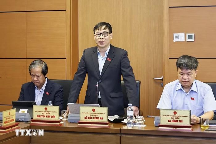 Đại biểu Quốc hội TP Hà Nội Đỗ Đức Hồng Hà phát biểu ý kiến. (Ảnh: Doãn Tấn /TTXVN)
