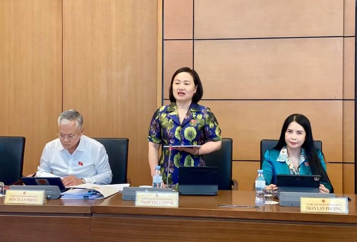 Đại biểu Quốc hội Phạm Thúy Chinh (đoàn thành phố Hải Phòng) tham gia thảo luận về dự án Luật Dầu khí (sửa đổi).