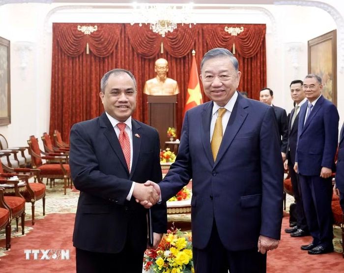 Tổng Bí thư, Chủ tịch nước Tô Lâm với Đại sứ Philippines tại Việt Nam Francisco Noel R. Fernandez III. (Ảnh: Thống Nhất/TTXVN)