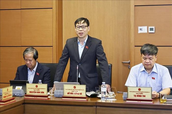 Đại biểu Quốc hội TP Hà Nội Đỗ Đức Hồng Hà phát biểu ý kiến. Ảnh: Doãn Tấn/TTXVN