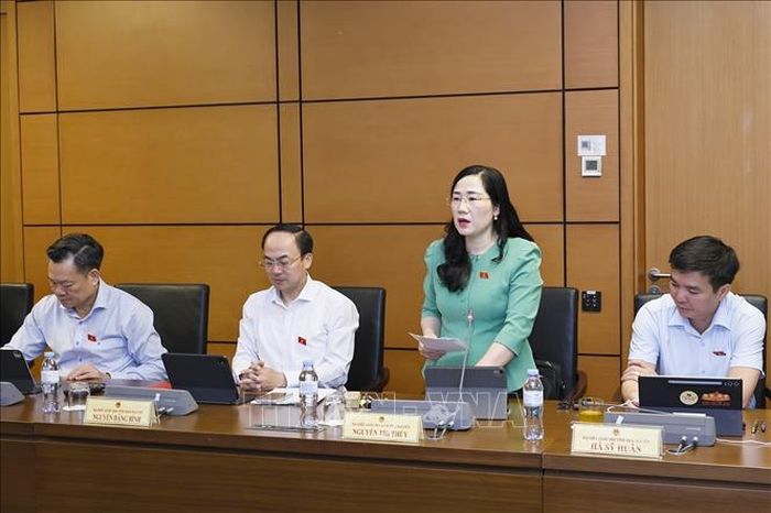 Đại biểu Quốc hội tỉnh Thái Nguyên Nguyễn Thị Thủy phát biểu ý kiến. Ảnh: Doãn Tấn/TTXVN