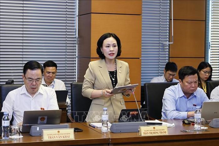 Đại biểu Quốc hội tỉnh Ninh Bình Trần Thị Hồng Thanh phát biểu ý kiến. Ảnh: Doãn Tấn/TTXVN