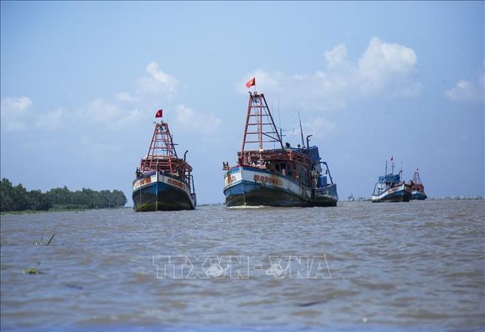 Tàu cá neo đậu trên vùng biển An Biên, tỉnh An Giang. Ảnh tư liệu: Hồng Đạt/TTXVN