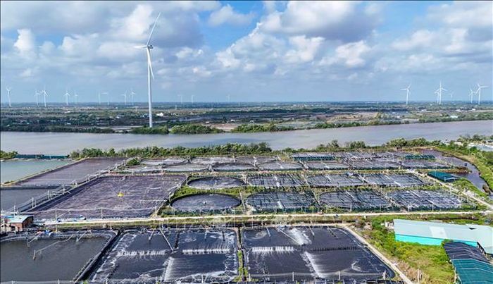 Một dự án điện gió trên bờ đang hoạt động ở xã Trần Đề, thành phố Cần Thơ.