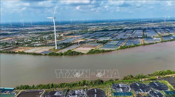 Một dự án điện gió trên bờ đang hoạt động ở xã Trần Đề, thành phố Cần Thơ.
