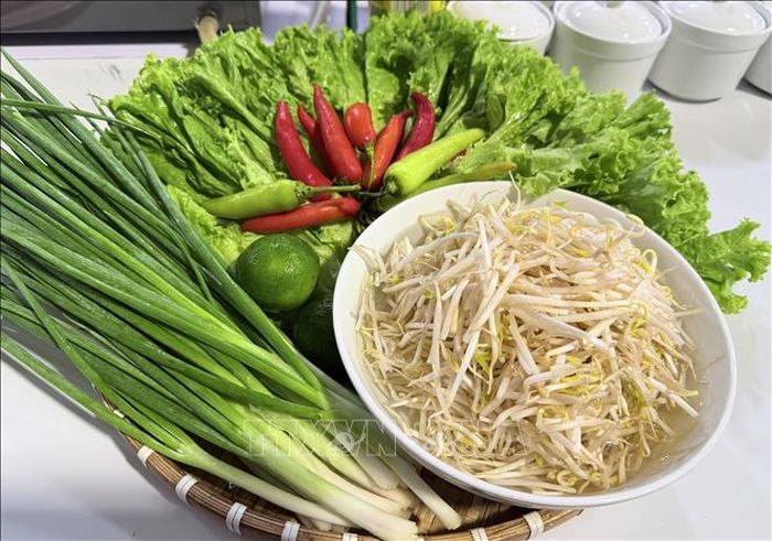 Rau sống, giá đỗ, chanh, ớt, hành lá là thành phần không thể thiếu, làm tăng hương vị cho món bún quậy Phú Quốc (An Giang).