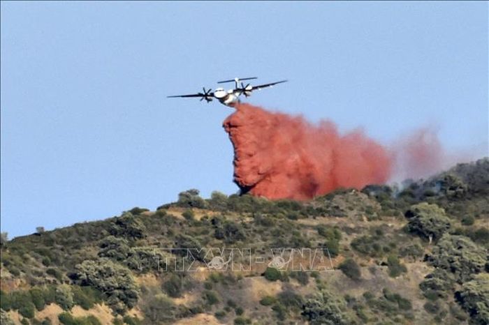 Máy bay được huy động dập lửa cháy rừng tại Banyuls-sur-Mer, tây nam nước Pháp. Ảnh: AFP/TTXVN