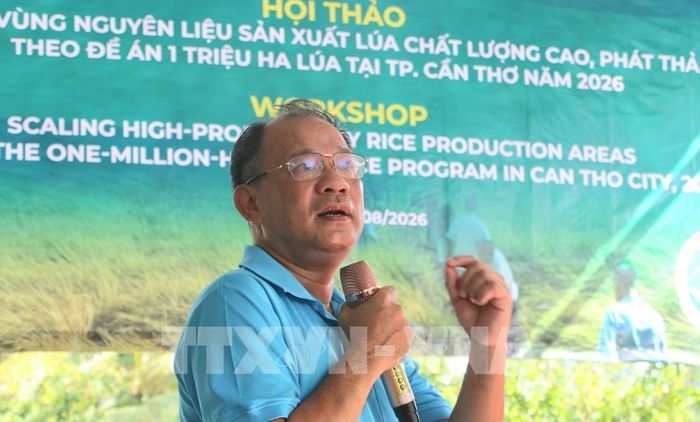 PGS.TS Nguyễn Văn Hùng, chuyên gia khoa học cao cấp của IRRI phát biểu. Ảnh: Duy Khương – TTXVN