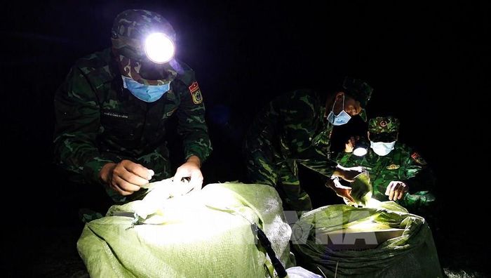 Lực lượng Bộ đội Biên phòng tỉnh Tây Ninh kiểm tra, phát hiện và ngăn chặn các vụ vận chuyển hàng cấm qua biên giới. Ảnh: Giang Phương - TTXVN