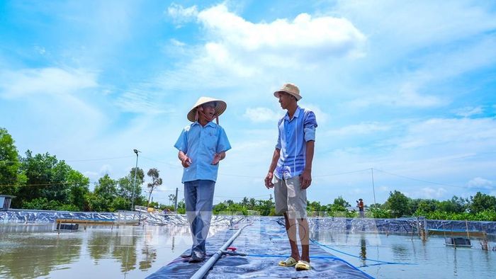 Mô hình nuôi thủy sản lót bạt ứng dụng kỹ thuật mới tại tỉnh Tây Ninh. Ảnh: Minh Phú – TTXVN