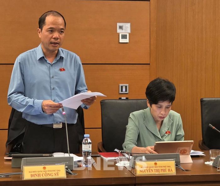 Đại biểu Đinh Công Sỹ (Đoàn Phú Thọ): Ảnh: Bích Hồng/Bnews/vnanet.vn