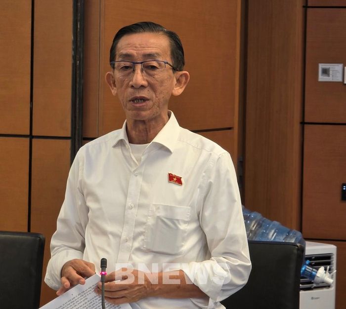 Đại biểu Trần Hoàng Ngân (Đoàn TP. Hồ Chí Minh). Ảnh: Bích Hồng/Bnews/vnanet.vn