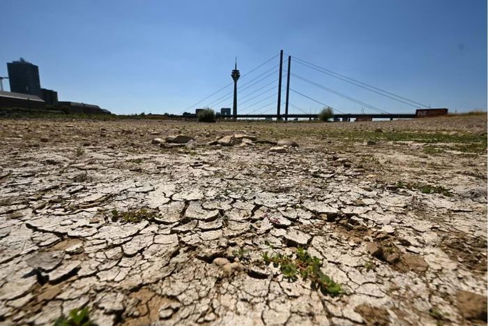 Sông Rhine cạn nước tại khu vực Düsseldorf, Đức. Ảnh: AFP/ Getty Image
