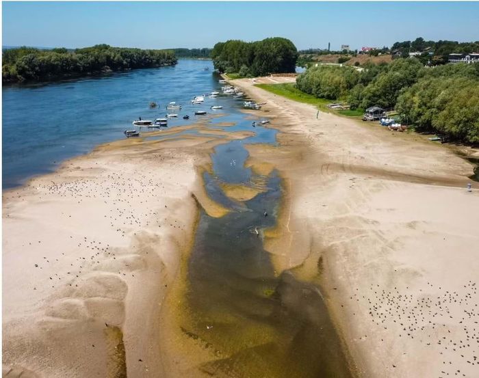 Một vùng đất thường xuyên chìm dưới nước nay nổi lên trên mặt sông Danube do mực nước xuống cực thấp sau một thời gian dài hạn hán ở Corabia, Romania. Ảnh: AP