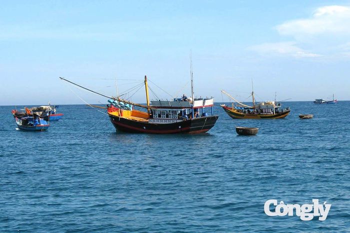 Ngư phủ xô xát trên biển xảy ra án mạng có thể bị xử lý tội giết người.