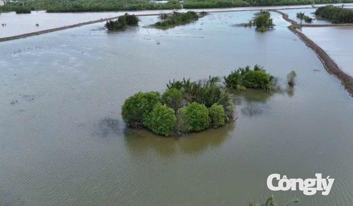 UBND tỉnh An Giang giữ nguyên quyết định xử phạt, cho rằng toàn bộ trình tự, thủ tục và mức phạt đều đúng quy định.