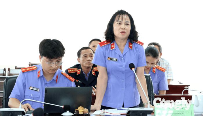 Bà Tạ Thị Hồng Hoa - Vụ trưởng Vụ Kiểm sát thi hành án dân sự (Vụ 11) phát biểu tại buổi làm việc.