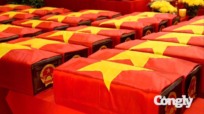 Gần 200 bộ hài cốt liệt sĩ được tìm thấy ở Công viên Lê Thị Riêng.