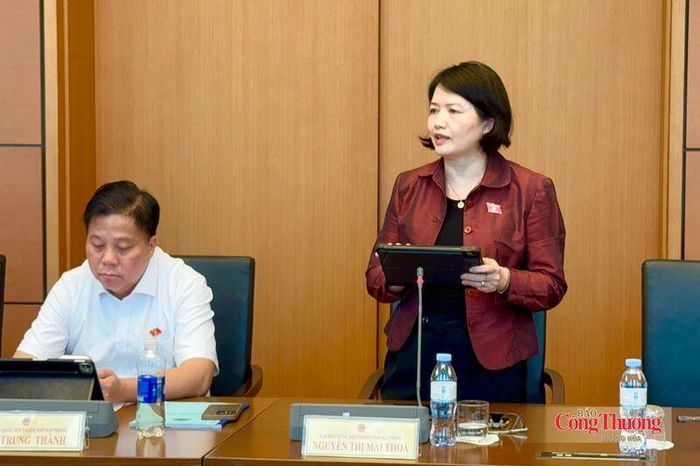 Đại biểu Nguyễn Thị Mai Thoa, Đoàn ĐBQH thành phố Hải Phòng kiến nghị, phát triển công nghiệp dầu khí phải đi đôi với bảo tồn di sản văn hóa Việt và bảo vệ sinh kế của cộng đồng dân cư ven bờ.