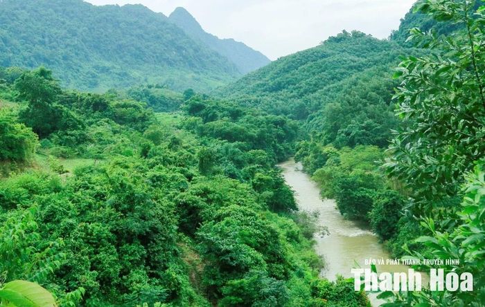 Khu vực suối Xủ thuộc đồi Rổm, thôn Lâm Sơn, xã Thạch Quảng được người dân phản ánh nước chuyển màu nâu xám, có mùi hôi tanh.