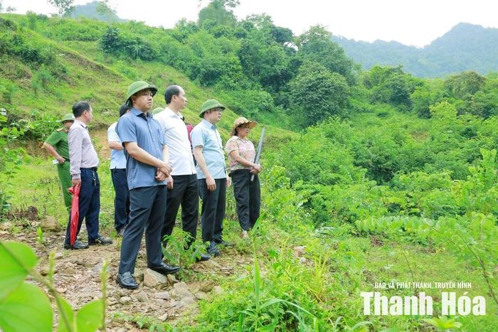 Phó Chủ tịch UBND tỉnh Cao Văn Cường cùng đoàn công tác kiểm tra thực tế tại suối Xủ, khu vực đồi Rổm, thôn Lâm Sơn, xã Thạch Quảng.