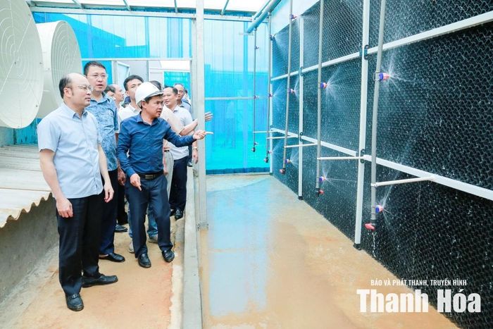 Phó Chủ tịch UBND tỉnh Cao Văn Cường kiểm tra khu khử khuẩn dự án chăn nuôi lợn công nghệ cao Xuân Thiện 2.