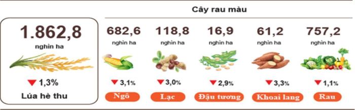 Diện tích một số loại cây hàng năm, Nguồn: Cục Thống kê.