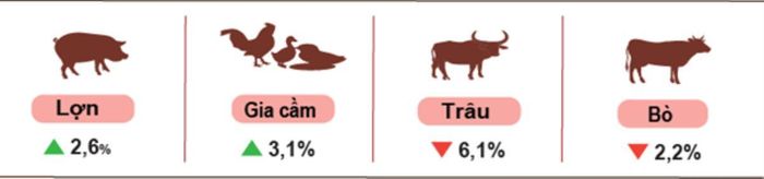 Tăng trưởng đàn vật nuôi 7 tháng đầu năm 2026. Nguồn: Cục Thống kê.