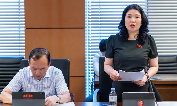  Đồng chí Trần Thị Vân phát biểu ý kiến. 