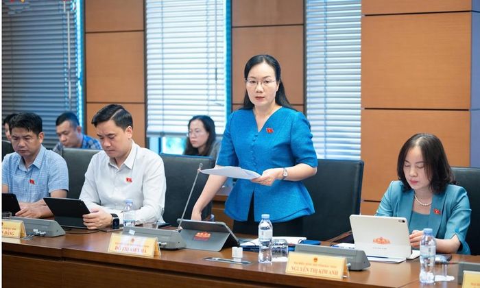  Đại biểu Đỗ Thị Việt Hà phát biểu ý kiến. 