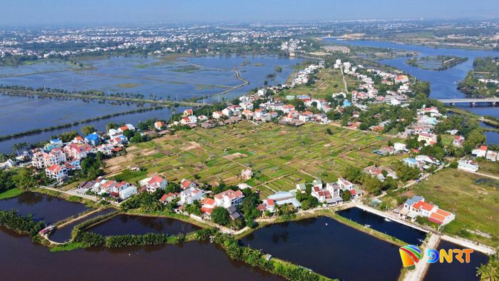 Làng rau Trà Quế bên dòng sông Cổ Cò. Ảnh: XUÂN SƠN