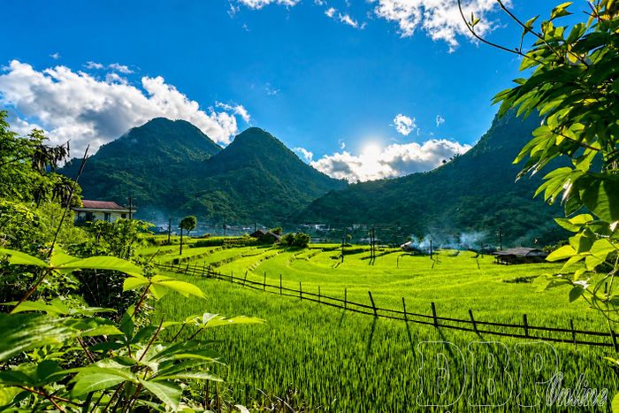 Những thửa ruộng bậc thang tại xã Sín Chải.