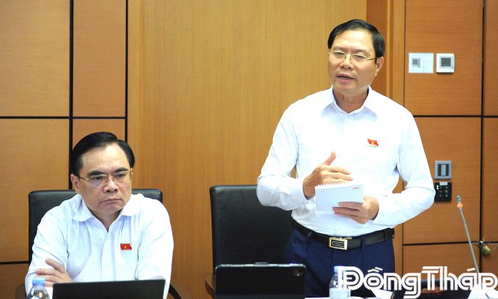 Đại biểu Nguyễn Tân Cương, Đoàn ĐBQH tỉnh Đồng Tháp phát biểu thảo luận tại tổ.
