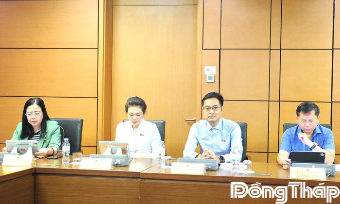 ĐBQH tỉnh Đồng Tháp tham gia phiên thảo luận tại tổ.