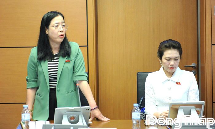 Đại biểu Nguyễn Thị Hồng Phượng, Đoàn ĐBQH tỉnh Đồng Tháp phát biểu thảo luận tại tổ.