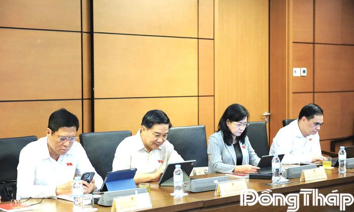 ĐBQH tỉnh Đồng Tháp tham gia phiên thảo luận tại tổ.
