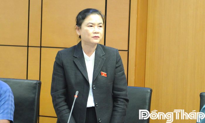 Đại biểu Đỗ Thị Thu Thảo phát biểu thảo luận.