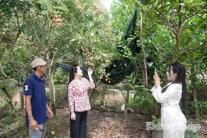 Chị Huỳnh Thị Diễm My và chị Trần Thị Yến Nhi, du khách đến từ TP. Hồ Chí Minh cho biết sẽ quay lại cù lao Tân Phong vào mùa nhãn, chôm chôm tới.
