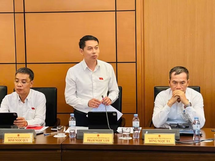ĐB Phạm Ngọc Lâm bày tỏ quan tâm đến đề xuất bổ sung hoạt động của cơ sở được ủy quyền cung cấp dịch vụ thị thực vào danh mục ngành, nghề đầu tư kinh doanh có điều kiện.