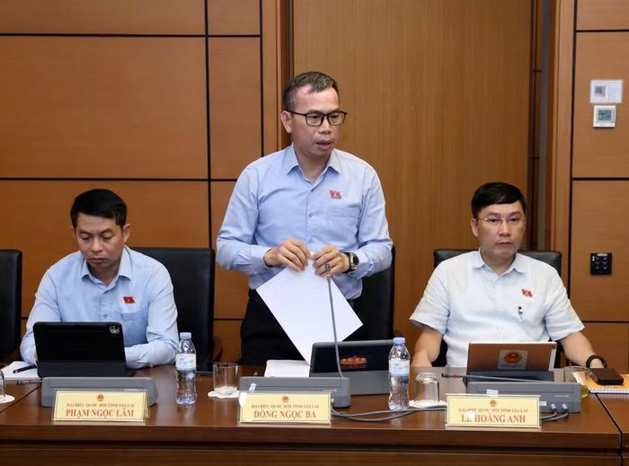  ĐB Đồng Ngọc Ba đề nghị hoàn thiện cơ chế đánh giá hiệu quả công tác phổ biến, giáo dục pháp luật. Ảnh: Đoàn ĐBQH tỉnh Gia Lai 