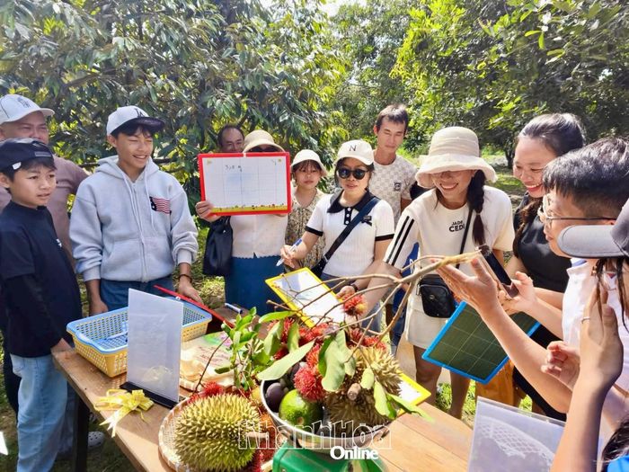 Du lịch vườn trái cây đang mở thêm không gian trải nghiệm, góp phần tạo giá trị gia tăng cho nông nghiệp Lâm Sơn.