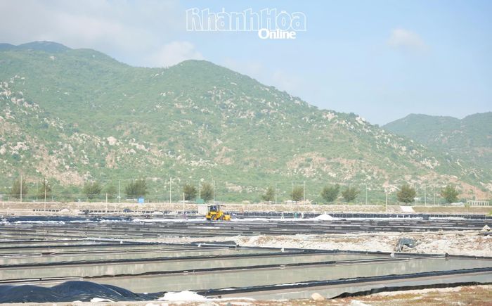 Khu vực sản xuất thuộc Dự án Khu kinh tế muối công nghiệp và xuất khẩu Quán Thẻ.