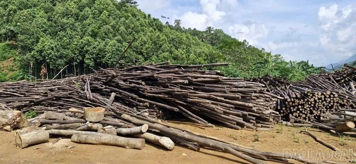 Tạm dừng hoạt động, tại các cơ sở đốt than còn tồn rất nhiều nguyên liệu bị phơi ngoài trời.