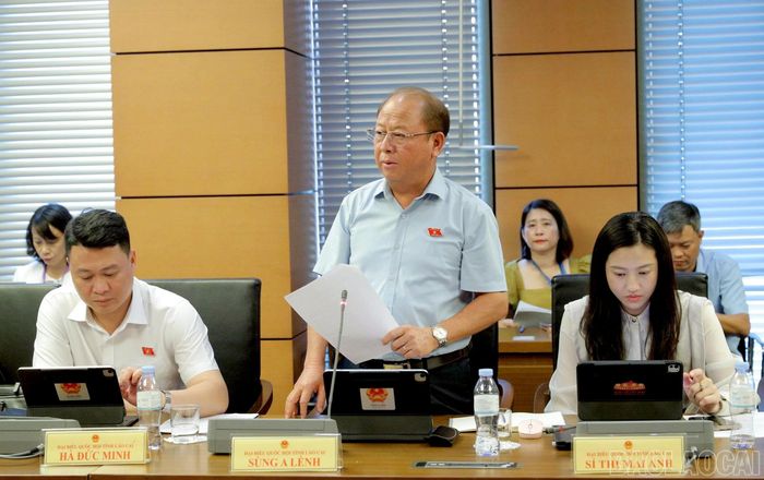 Đại biểu Sùng A Lềnh - Phó Trưởng Đoàn đại biểu Quốc hội chuyên trách tỉnh Lào Cai tham gia thảo luận tại tổ.