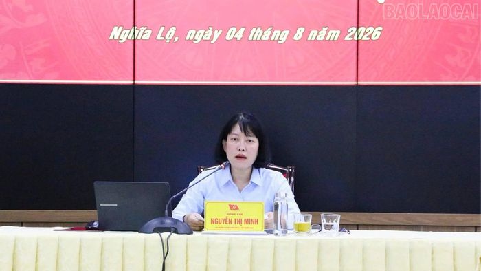 Đồng chí Nguyễn Thị Minh - Phó Trưởng Ban Nội chính Tỉnh ủy phát biểu kết luận buổi làm việc.